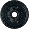 Ekena Millwork Palmetto Ceiling Medallion (Fits Canopies up to 5"), 20 7/8"OD x 3 5/8"ID x 1 5/8"P, Night Shade CM20PMNSF - alternate 1